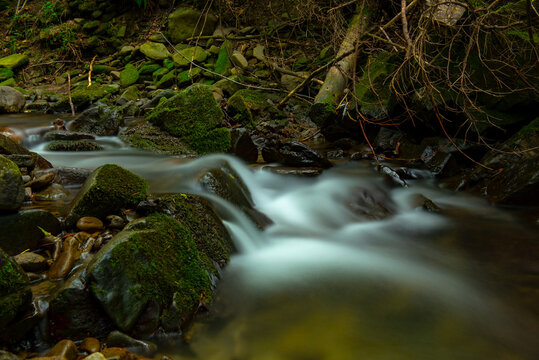 mountain stream in the forest © Robert