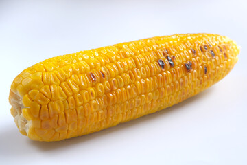 Grilled sweet corn on white background, isolated