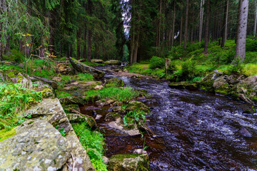 Ruhige Landschaft im Schwarzwassertal