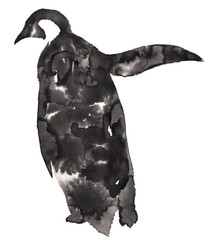 black and white linear paint draw penguin illustration