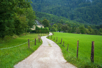 Fototapeta na wymiar Bending country road in highlands near alpine village in summer, Europe, Austria