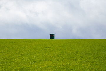 Hochsitz am Horizont an einem bewölkten Tag im Oktober