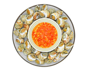 Areola Babylon or Spotted Babylon on a plate with seafood dipping sauce on a white background.
