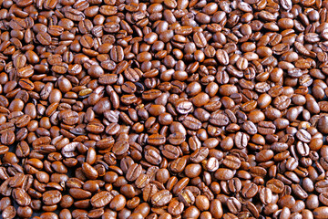 There were roasted and brown coffee beans piled on the ground. The refreshing aroma of Arabica coffee.
