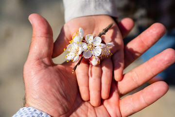 Spring family. Hands of dad ans son. Children adaptation, adopted child, generation.