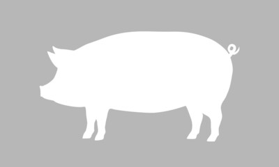 Pig icon. Pig silhouette isolated on grey background. Vector illustration