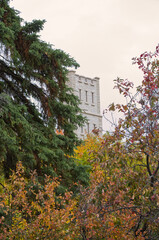 Autumn Trees and a Tower