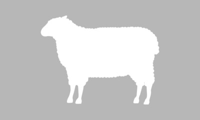 Sheep icon. Sheep silhouette isolated on grey background. Vector illustration