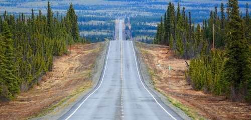 Straight Road Through a Forest in Alaska © Hortigüela