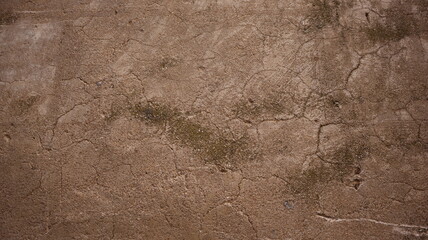 Textura pared