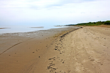 Baltic Sea coast