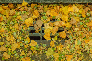 Clogged manhole cover with leaves in autumn