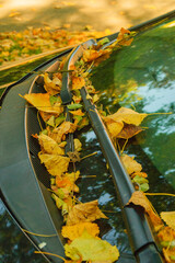 Leaves in autumn on a car