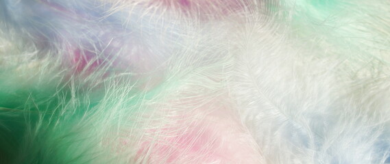 Feathers texture in pastel colors banner.Abstract blur soft style design background.