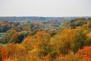 Obraz premium Rural landscape with various trees in autumn colors