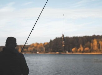 Swim bait or wobbler hanging on fishing rod for predator fish and pike.
