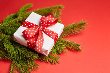 Gift box with green Christmas tree branch on red