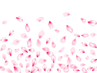 Spring tree flowers parts, airy flying petals