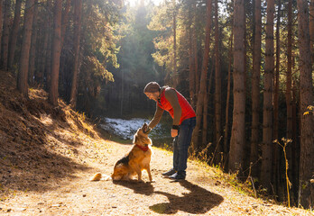 Man playing with dog in forest lit by sunlight. Autumn season.