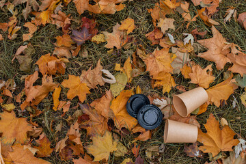 An empty paper coffee cup lies on the ground in the park. Environmental pollution