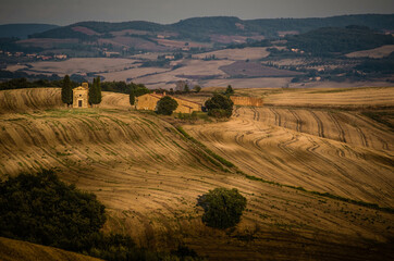 Obraz premium Tuscany