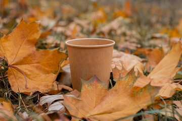 An empty paper cup stands on the ground in a park in autumn leaves. 