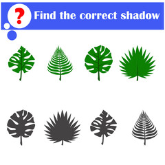 Find the correct shadow. Educational game for children. Set of green tropical palm leaves