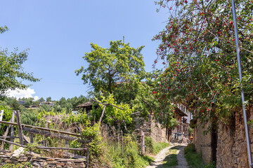 Fototapeta premium Village of Leshten with Authentic nineteenth century houses, Bulgaria