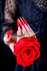 Close-up of female arms and long legs. The girl is holding a crown in her hands. Red nails on a dark background.