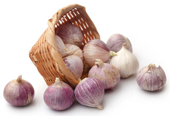 Solo or single clove garlic