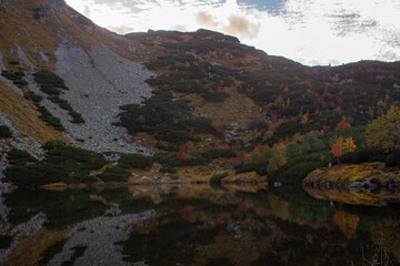 Tatry słowackie, Rohacka dolina