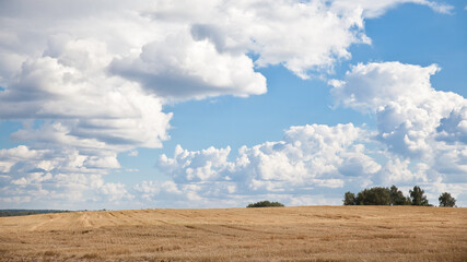 Mown field of wheat and amazing blue sky. blue sky and white clouds. Beautiful landscape. Nice weather in late summer.