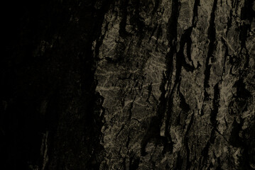 Tło, , pęknięcia, drewno