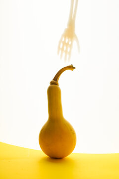 Vertical Shot Of A Spooky Skeleton Hand Reaching For A Squash Against A White Background