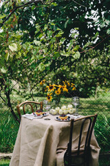 Healthy lunch in the garden