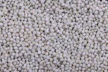 White Sago Seeds Top Angle Flat-lay  Background or Texture