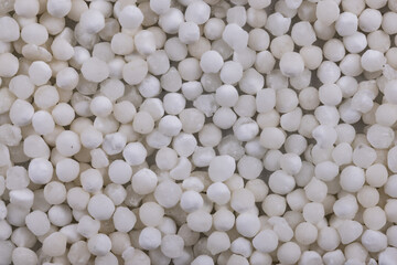 White Sago Seeds Top Angle Flat-lay  Background or Texture