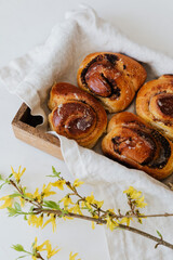 Homemade cinnamon rolls