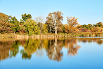 Colorful autumn trees reflecting on the calm water surface. Beautiful autumn foliage scenery landscapes	