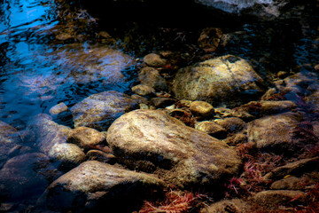 Submerged rocks, Bull Run Creek