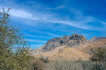 Yellowjacket Peak, Early Autumn