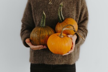 Women's hands in sweater are holding pumpkin