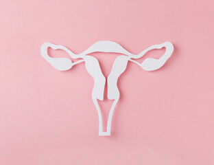 figure of female reproductive system cutted from Paper on pink background. Woman's anatomy concept. Woman's health. Concept banner of Gynecology.  - 463165620