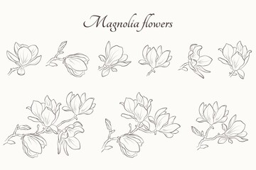 magnolia flower set. hand drawn contour flourish illustration. floral element for greeting invitation design