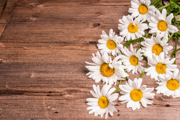 Obraz premium Chamomiles on a wooden background