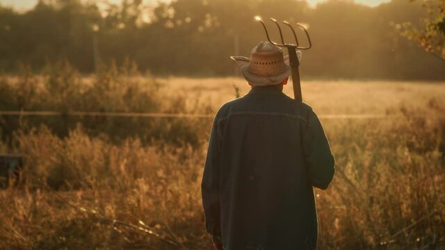 Farmer with pitchfork in field
