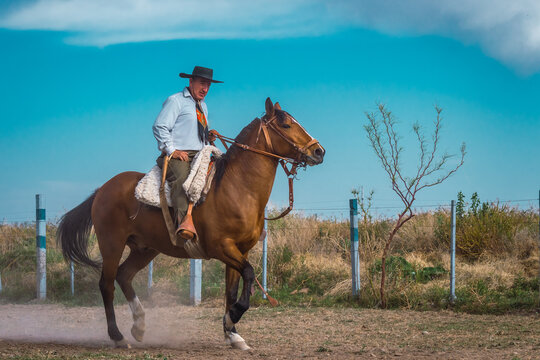 Argentine cowboy (gaucho) walks his horse past camera, in Patagonia.