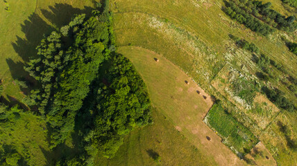 Aerial view of Apuseni mountains, Romania