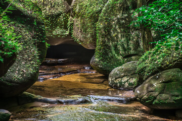 Green moss on sandstone rocks in Kinnaree Waterfall, Bueng Kan, Nong Khai Province, Thailand.