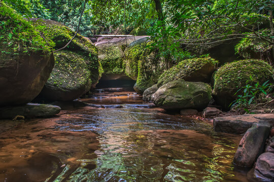 Green moss on sandstone rocks in Kinnaree Waterfall, Bueng Kan, Nong Khai Province, Thailand.